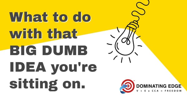 WHAT TO DO WITH THAT DUMB IDEA YOU'RE SITTING ON